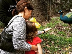 Mengintip Sisi Lain Nicky Hayden Lewat Instagram