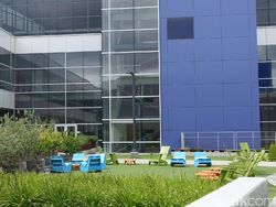 Markas Google yang Sangat Instagrammable