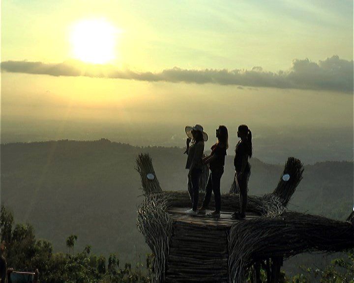 Tangan Raksasa di Hutan Pinus  Pengger, Dlingo, Bantul, Yogyakarta