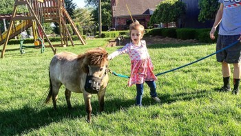 Di akun Instagram-nya, Nicky kadang membagikan sisi lain dalam kehidupan pribadinya. Foto: Instagram