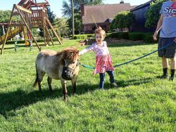 Mengintip Sisi Lain Nicky Hayden Lewat Instagram