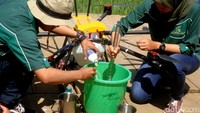 Dalam riset yang sudah dilakukan sejak enam bulan lalu tersebut, kini mulai diaplikasikan pada tanaman padi sebagai pilot project yang diluncurkan pada Senin 22 Mei 2017. Diharapkan dengan teknologi ini, waktu pemupukan akan lebih singkat dibanding saat pemupukan padi secara tradisional.