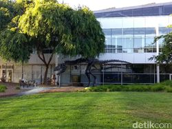 Markas Google yang Sangat Instagrammable