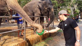 Saat memberi makan gajah. Foto: Instagram