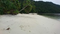 Berjalan dari dermaga menuju kampung akan ada gapura kecil yang tulisan catnya agak kabur termakan usia. B‎egini bunyinya Welcome to Sauwandarek Village dan pasti cocok buat mengabadikan momen (Masaul/detikTravel)