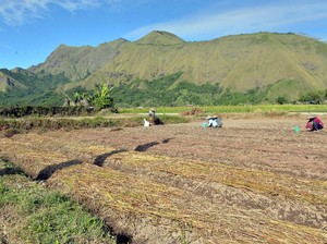 Dapat Anggaran Rp 22,6 T, Mentan Paparkan Produksi Pangan 2018