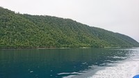 Di perjalanan jangan tidur ya, karena alam Raja Ampat sangat sayang dilewatkan. Siapkan kamera untuk membidik momen-momen yang sekiranya cantik di pulau-pulau kecilnya (Masaul/detikTravel)