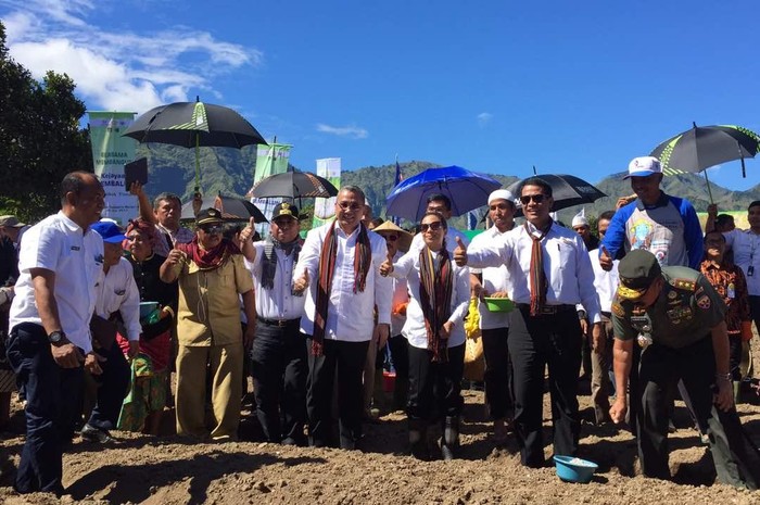 Jurus Mentan Kejar Swasembada Bawang Putih