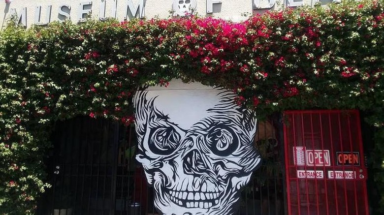 Foto: Museum of Death di Hollywood, AS (stonerqueen1987/Instagram) Foto: Museum of Death di Hollywood, AS (stonerqueen1987/Instagram)