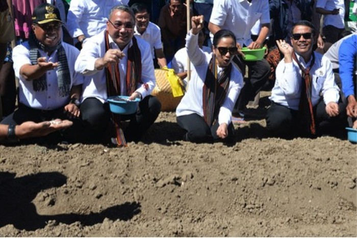 3 Menteri Jokowi Tanam Bawang Putih di Lombok