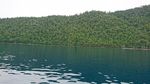 Pantai Raja Ampat Bikin Ogah Pulang, Ini Buktinya