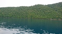 Letak pantai ini ada di Kampung Sauwandarek, Pulau Mansuar, Raja Ampat. Jika Anda dari Waisai, perjalanan untuk menjangkaunya sekitar 1 jam menggunakan speedboat (Masaul/detikTravel)