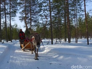 Di Kota Sinterklas, Muslimah Finlandia Ini Temukan Hidayah