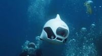 Drone yang Ini Tidak Terbang, tapi Menyelam di laut