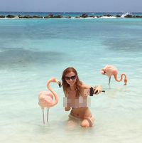 Turis Seksi & Tren Selfie Bareng Flamingo