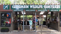 Foto: Currumbin Wildlife Sanctuary adalah kebun binatang yang unik di Gold Coast, Queensland, Australia. Ada fungsi konservasi dan hewannya khusus yang asli Australia (Fitraya/detikTravel)