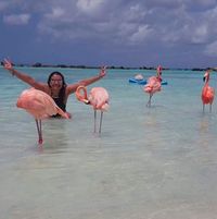 Pengunjung yang berinteraksi dengan flamingo (yeyebendek/Instagram)