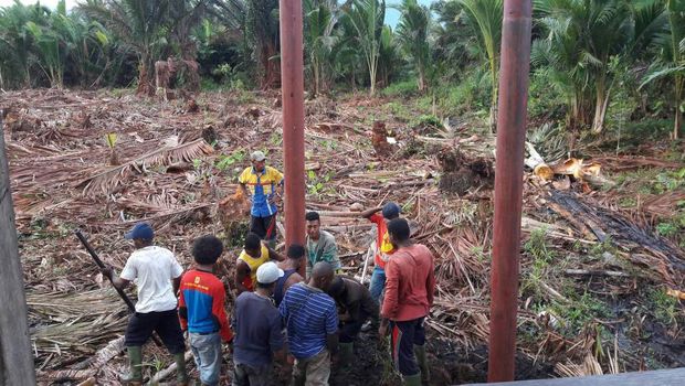 Tembus Hutan, PLN Melistriki Pedalaman Papua
