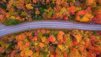 Pemandangan cantik saat musim gugur dari udara yang menunjukkan jalur jalanan dengan hutan di kanan kirinya terletak di New Hampshire. Foto ini diambil oleh fotografer Manish Mamtani. (Foto: National Geographic/Manish Mamtani)