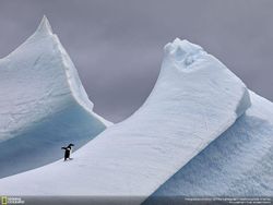 Jepretan Mengagumkan Kontestan NatGeo Traveler