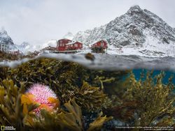 Jepretan Mengagumkan Kontestan NatGeo Traveler