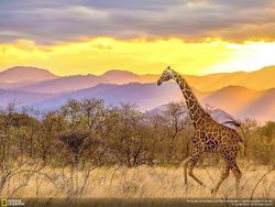 Jepretan Mengagumkan Kontestan NatGeo Traveler