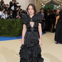 Dakota Johnson attends the Rei Kawakubo/Comme des Garcons: Art Of The In-Between Costume Institute Gala at Metropolitan Museum of Art on May 1, 2017 in New York City.  (Photo by Neilson Barnard/Getty Images)