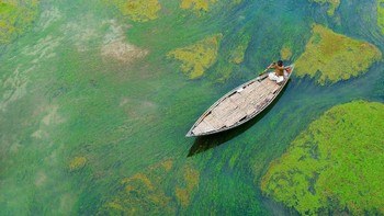 Seorang pria yang menyebrangi sungai dengan perahunya. Tampak aliran sungai tersebut mati dan berwarna hijau, diakibatkan karena masuk musim salju. Foto ini diambil oleh MD Tanveer Hassan Rohan. (Foto: National Geographic/MD Tanveer Hassan Rohan)