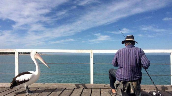 Lansia Ini Ingin Mancing Terakhir Kali Sebelum Meninggal