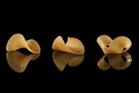 Unik! Lembaran Pasta Ini Baru Akan Berubah Bentuk Saat Direbus
