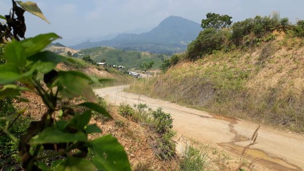 Ini Penampakan Proyek Hambalang yang Pernah Mangkrak