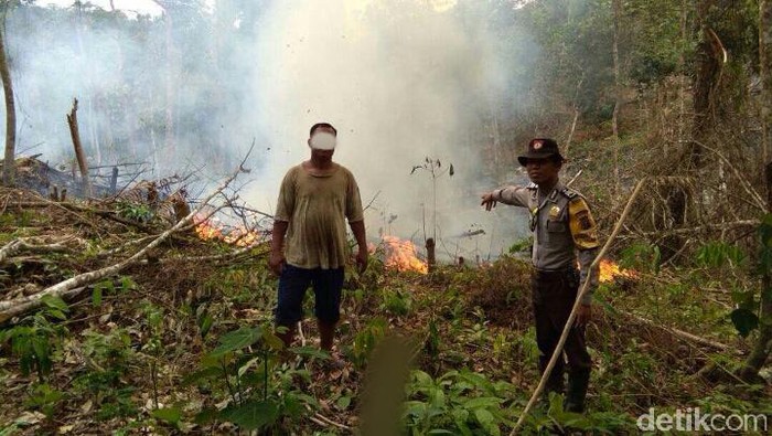 Bakar Lahan,  Warga Suku Talang Mamak di Riau Ditangkap Polisi