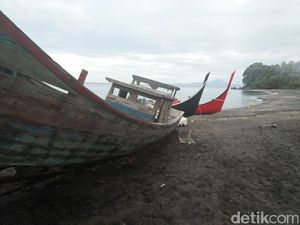Eksotisnya Si Hitam Manis dari Sabang
