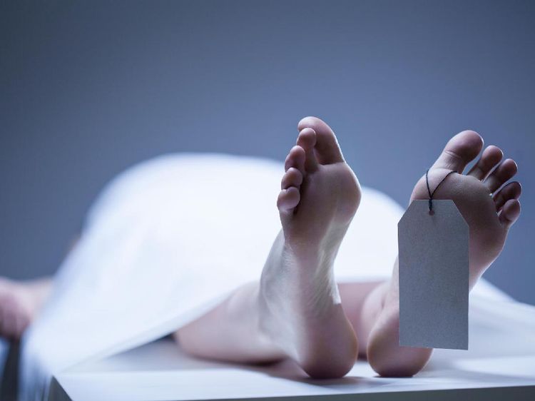 Ada di Sekitar Kita, 6 Hewan Ini Paling Berbahaya untuk Manusia
