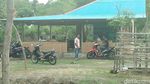 Eksotisnya Si Hitam Manis dari Sabang