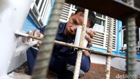Pagar halte juga dicat ulang.