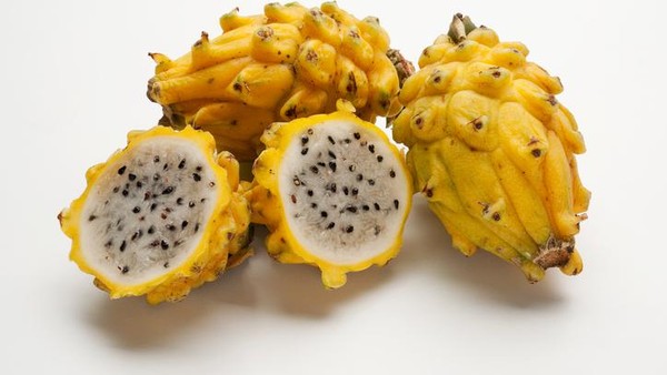 Selain Buah Naga Merah dan Putih, Ternyata Ada Buah Naga Kuning Lho!