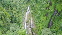 Air Terjun Cibadak yang asri di Bogor menawarkan pemandangan memesona. Nggak bakalan menyesal main ke sana (I Gede Leo Agustina/dTraveler)