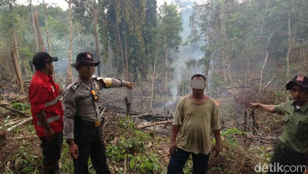 Bakar Lahan,  Warga Suku Talang Mamak di Riau Ditangkap Polisi