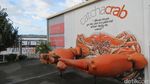Wisata Unik di Australia: Mancing Kepiting!