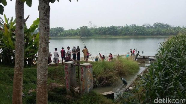 Ngabuburit sambil Kumbohan, Berburu Ikan 'Mabuk' di Bengawan Solo