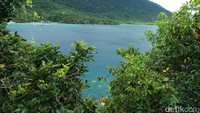 Pemandangan di belakang makam yang langsung menghadap laut. Super biru dan keren! (Bonauli/detikTravel)