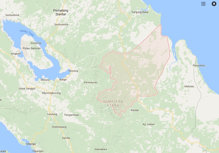 Terdengar Auman di Sekitar Lokasi Harimau yang Mati Dibunuh