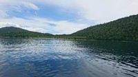 Jika Anda membaca artikel sebelumnya disebutkan bahwa di bawah dermaga ini bak surga kecil. Kenapa? Karena merupakan spot untuk snorkeling dan digunakan ikan berlindung di bawah dermaga sederhana ini (Masaul/detikTravel)