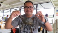 Kita bisa berfoto dengan kepiting besar yang kita pancing. Kepiting ini yang nantinya akan dimasak untuk jadi hidangan wisatawan (Fitraya/detikTravel)