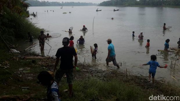 Ngabuburit sambil Kumbohan, Berburu Ikan 'Mabuk' di Bengawan Solo