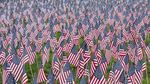 Kenang Korban Perang, Taman Boston Dihiasi 37 Ribu Bendera