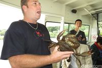 Awas, capitnya bisa sangat kuat (Fitraya/detikTravel)