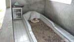 Potret Salah Satu Makam Penyebar Agama Islam di Sabang