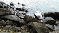 Untuk wudhu, traveler bisa menggunakan air laut yang berada di dekat makam atau dari air yang sudah di siapkan oleh pengunjung itu sendiri. Pemandangan pantainya tak kalah cantik (Bonauli/detikTravel)
